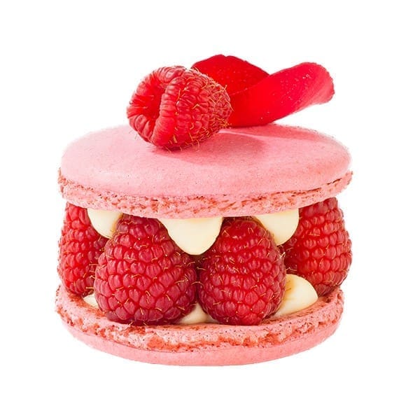 Ispahan framboos