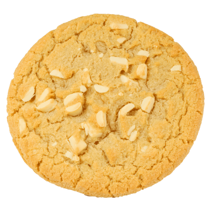 White chocolate chip cookie XL